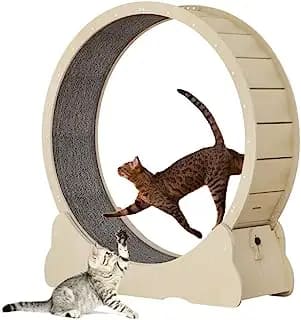 Cat Hamster Wheel Finding the Best Options: Unleash Feline Fitness!