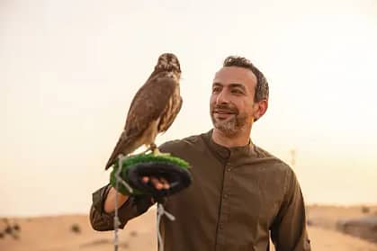 effective positive reinforcement techniques for birds