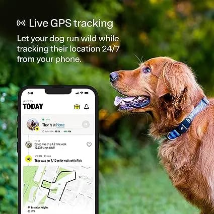 fi gps collar