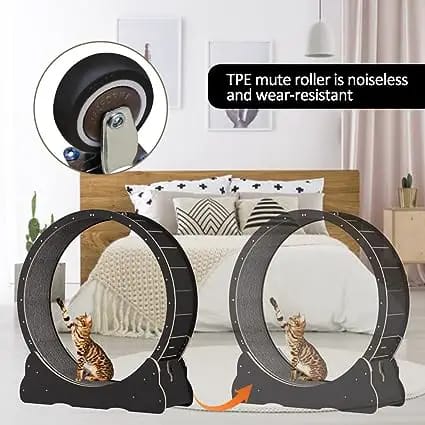homegroove cat hamster wheel