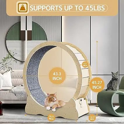 cat hamster wheel