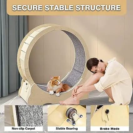 liizee cat hamster wheel