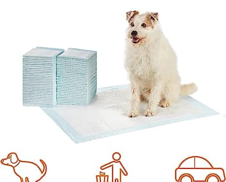 Dog and Puppy Pee Pads