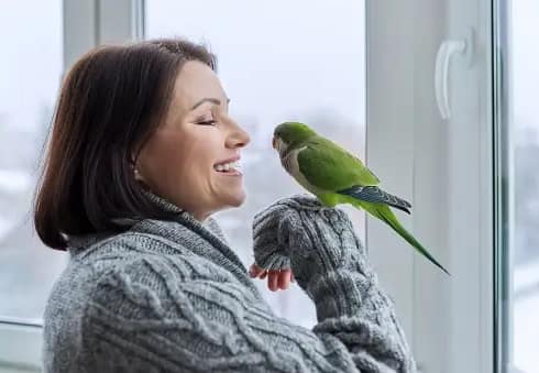 Training your parakeet to talk