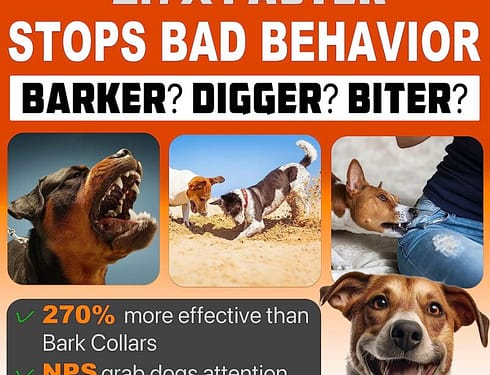 Effectiveness Comparison