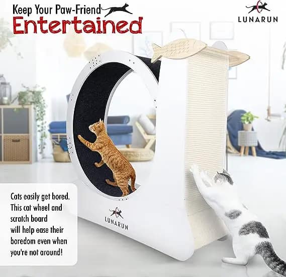 lunarun cat hamster wheel