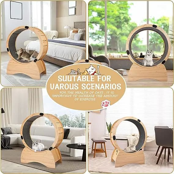 susici cat hamster wheel