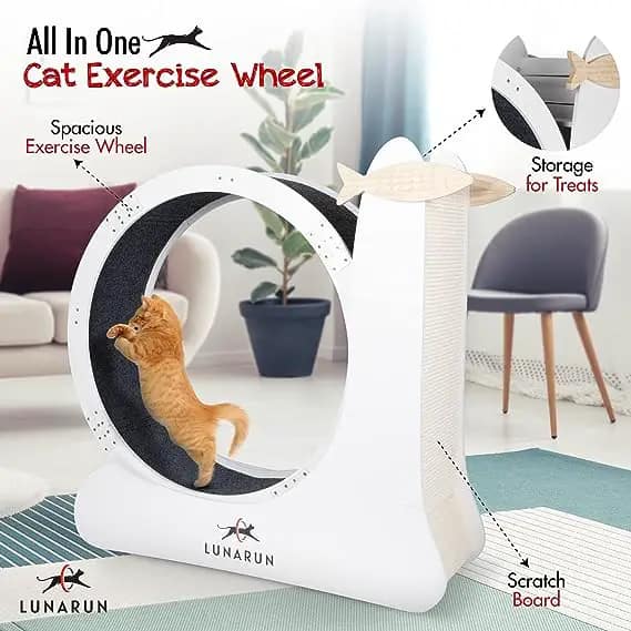 lunarun cat hamster wheel