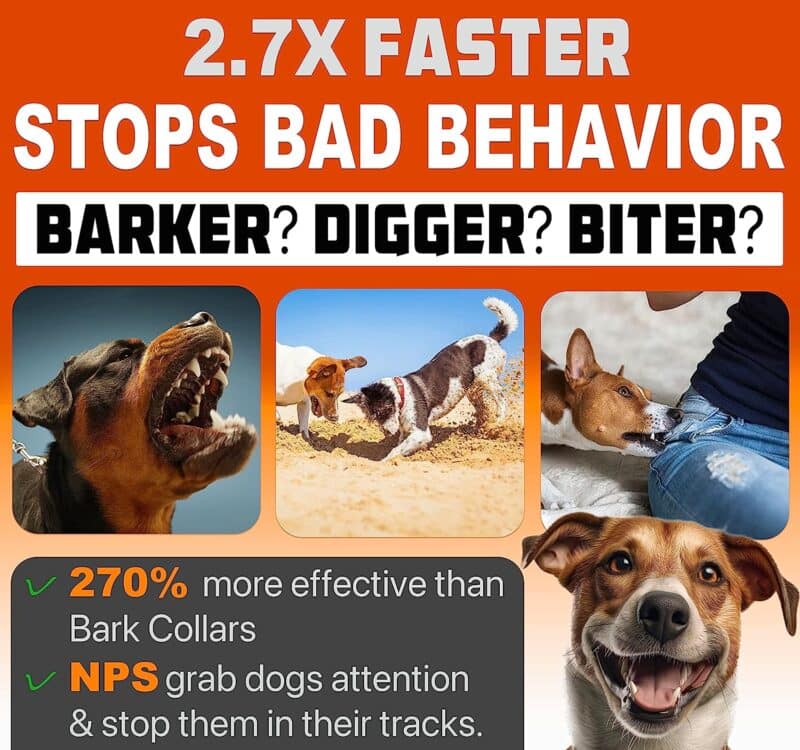 A Comprehensive Review: 2023release Dog Bark Deterrent Device by NPS